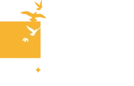 Excel Wallpapers